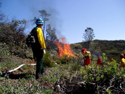 Stage 1 Fire Restrictions