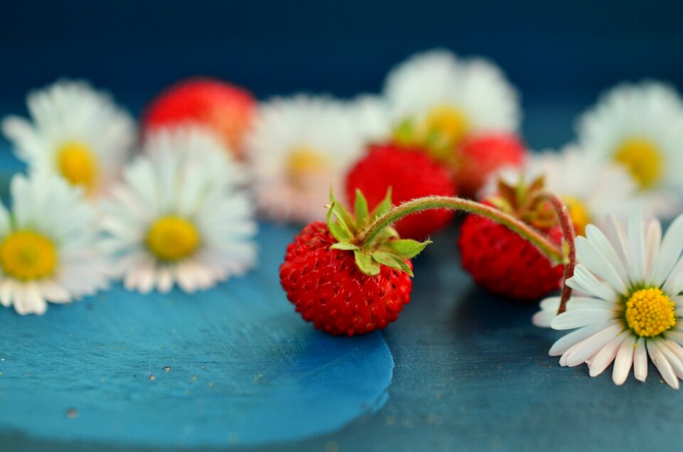 Still life close up sweet