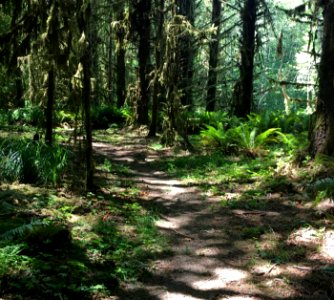 Head Waters South side Trail