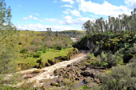 Paynes Creek