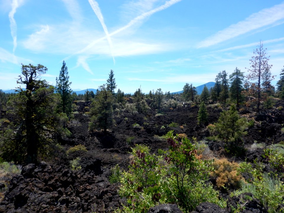 Timbered Crater Wilderness Study Area in the Applegate Field Office