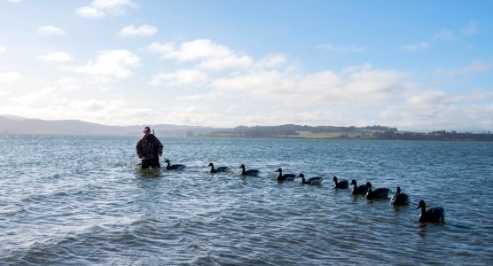 Mike Thompson Wildlife Area, South Spit Humboldt Bay
