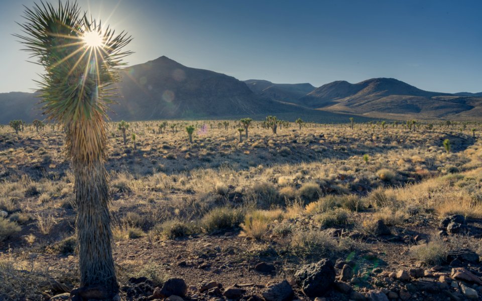 Road into Conglomerate Mesa and Inyo Mountain Wilderness