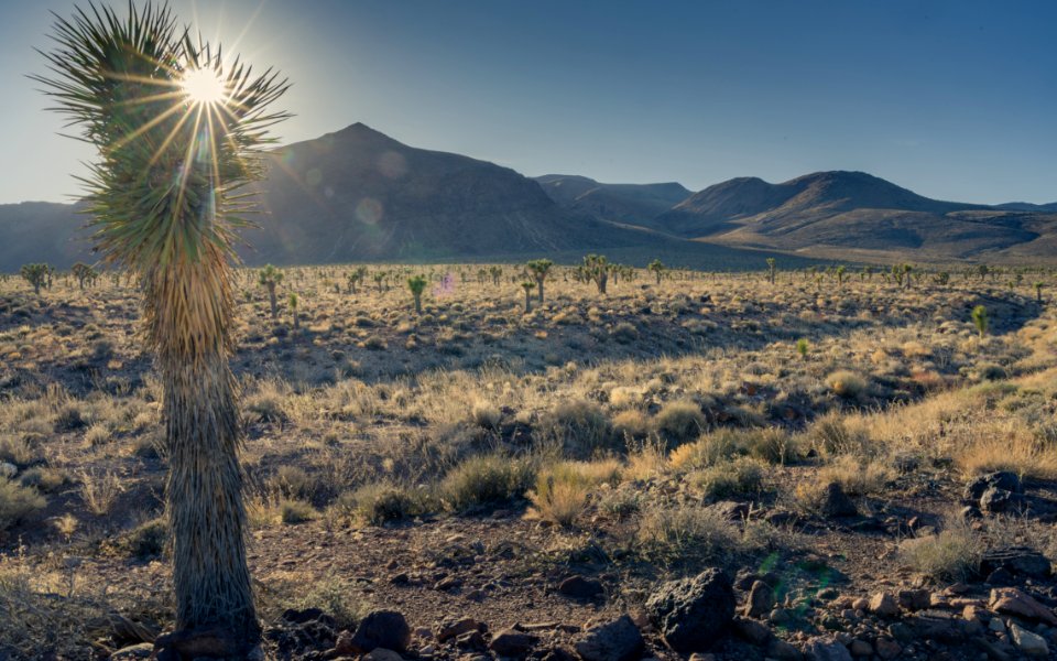 Road into Conglomerate Mesa and Inyo Mountain Wilderness photo