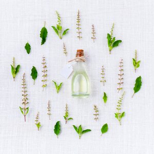 Green white essential