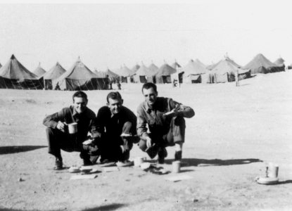 Camp Ibis