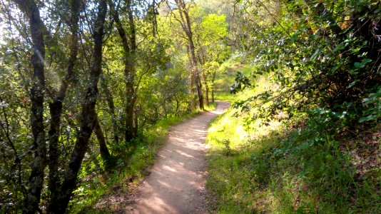 Magnolia Ranch in Spring