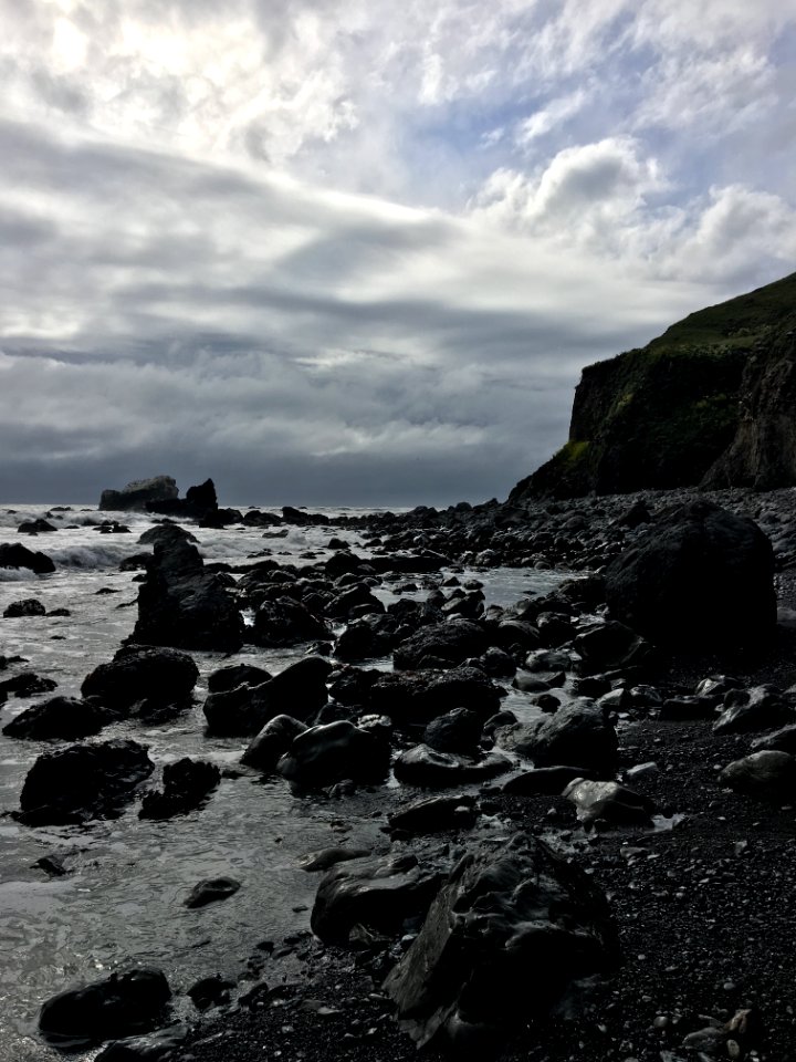 Sea Lion Gulch