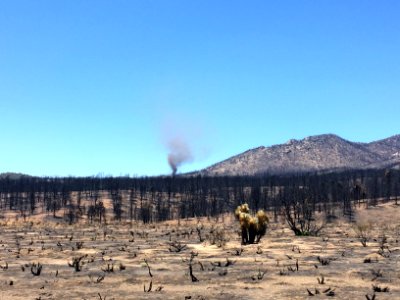 Dust Devil After Chimmney Fire