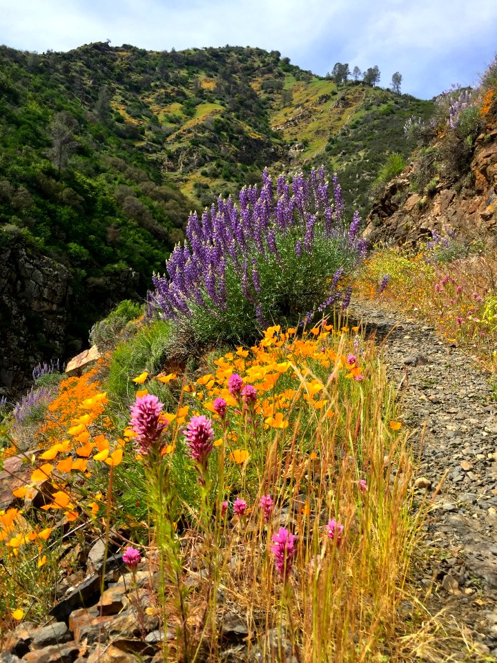 Merced River Recreation Area