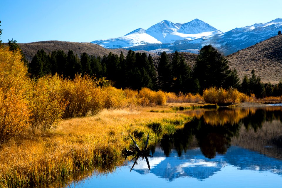 Dynamo Pond, a Little Known Piece of American History