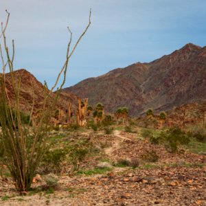 Corn Springs Campground