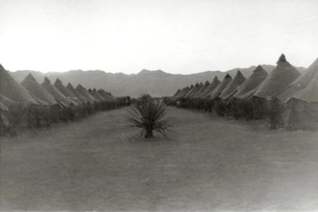 Tents at Camp Ibis, Desert Training Center Charles C. Dike, 607th Tank Destroyer Battalion photo