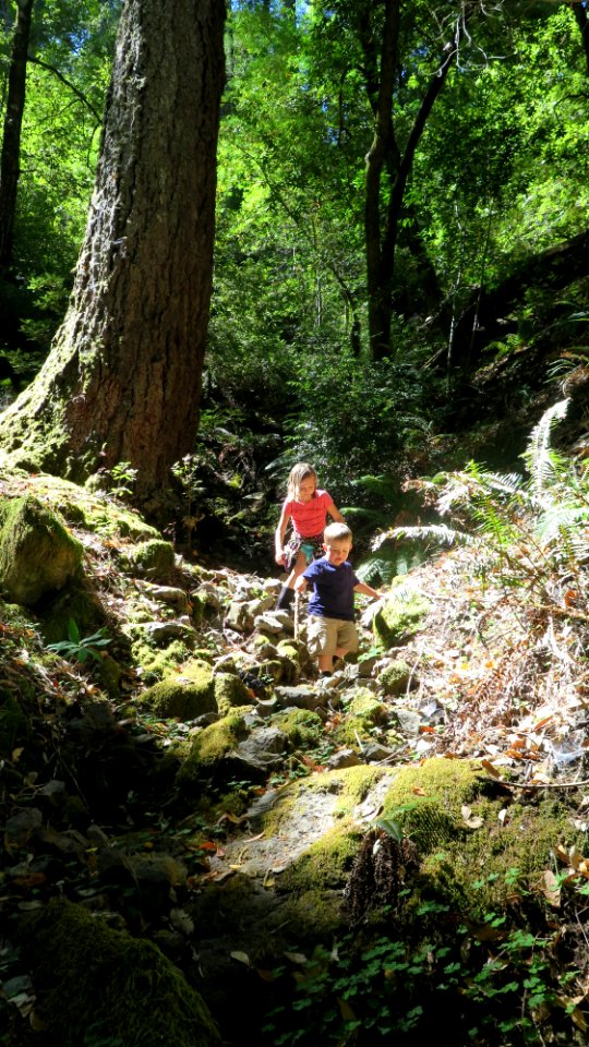 Exploring Wailaki Campground