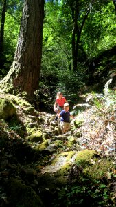 Exploring Wailaki Campground