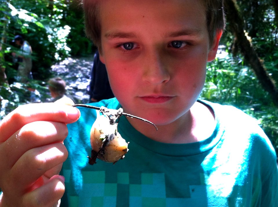 Summer Headwaters Education Program