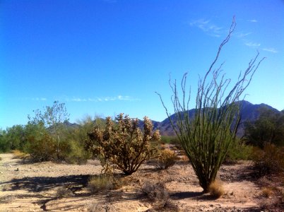 Bradshaw Trail