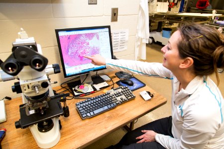 Wildlife Forensics Lab