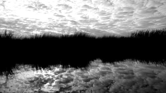 Turner River marsh photo