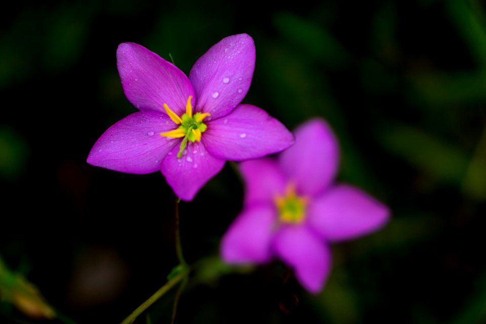 DSC05917