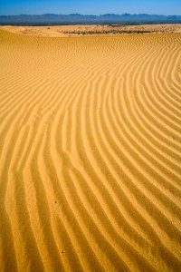 North Algodones Dunes Wilderness