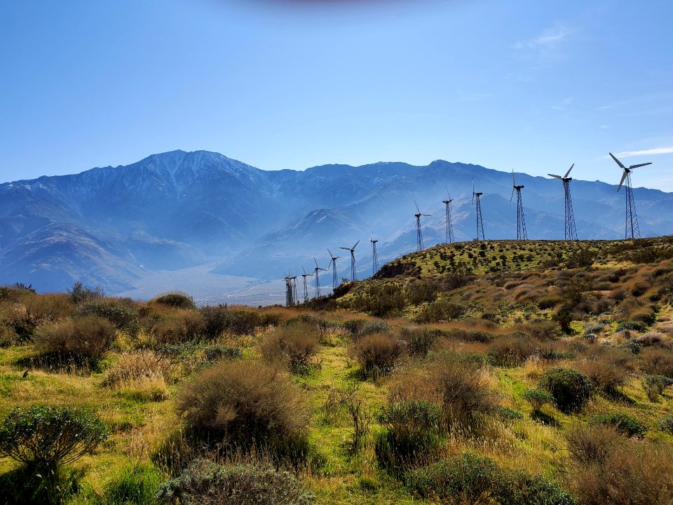 WINNER: Mesa Wind, Palm Springs Field Office