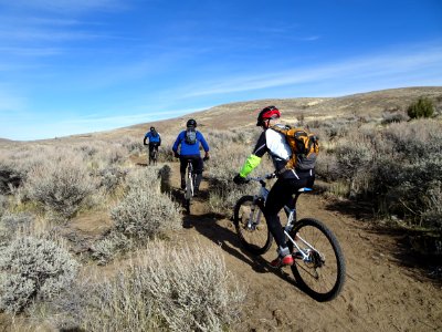 Bald Mountain