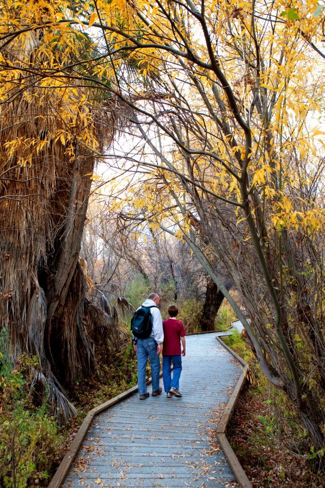 Big Morongo Canyon Preserve