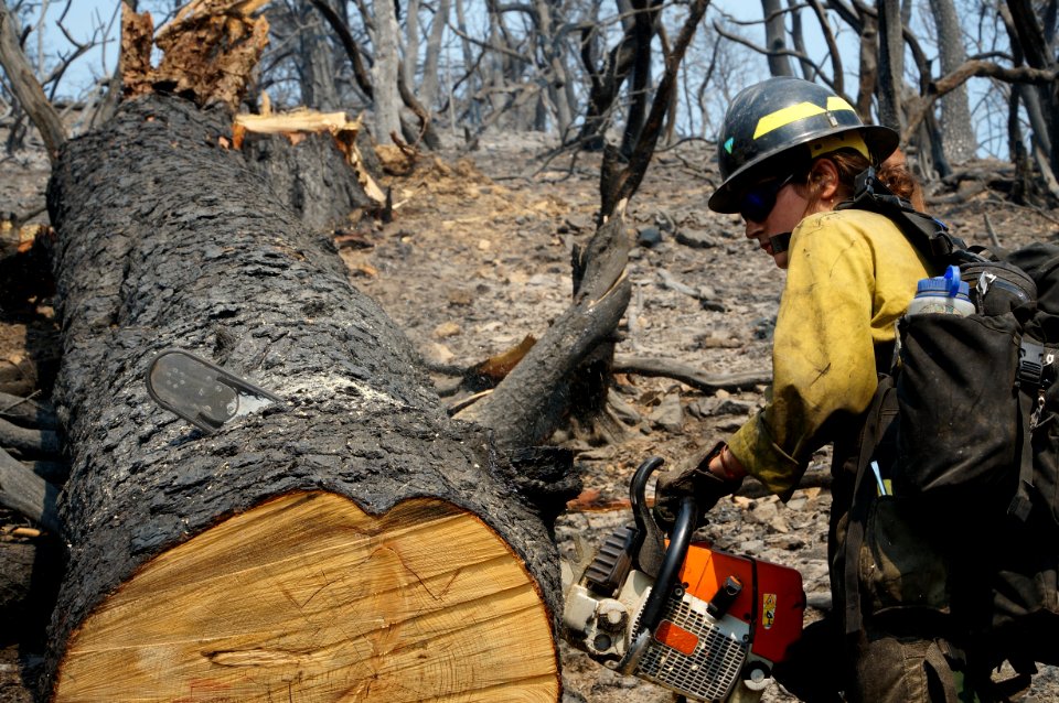 BLM NorCal Felling Team on Carr Fire in the Redding Field Office