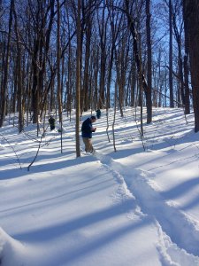 Moving Friends Forward 2016