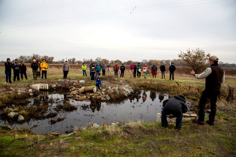 Cosumnes River Preserve