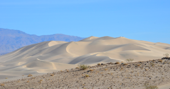 Dumont Dunes