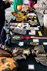 BatWeek 2015: Bats 101 -2