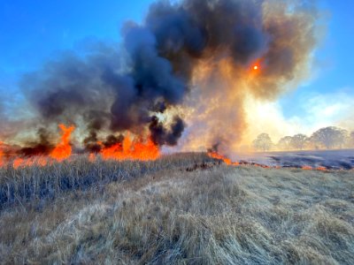 Prescribed burn near Paynes Creek Wetlands