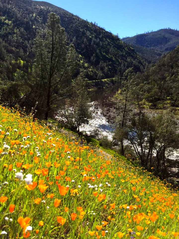 Merced River Recreation Area