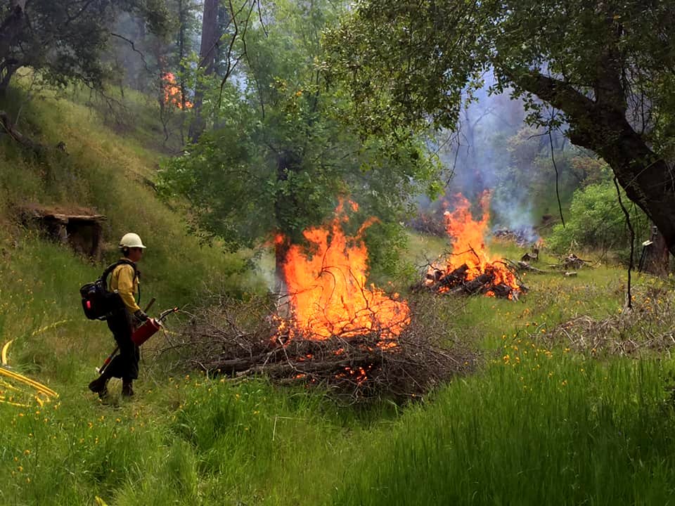 2019 Rx burn on public lands