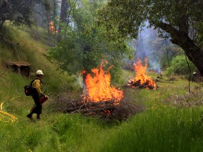 2019 Rx burn on public lands