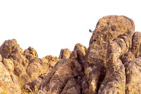 Climbing at Sawtooth Canyon Campground