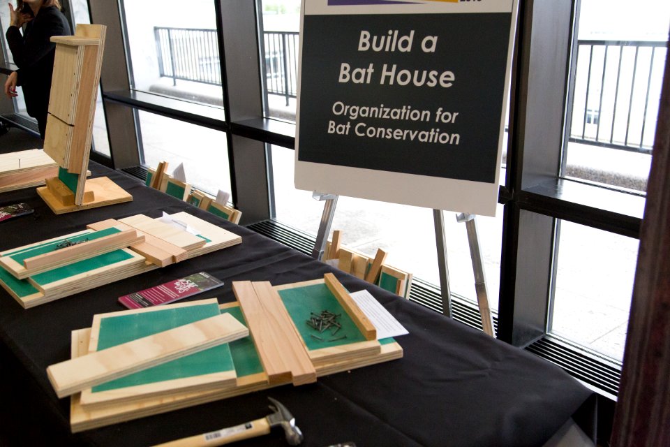 Bat Week 2015