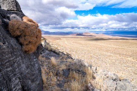Pahrump Valley Wilderness