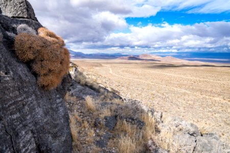 Pahrump Valley Wilderness photo