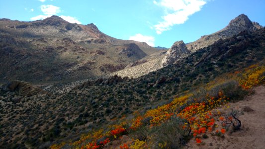 Short Canyon, Ridgecrest Field Office