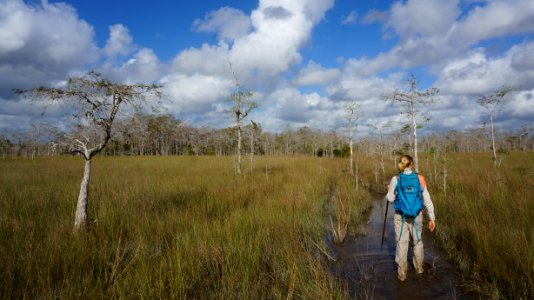 Hiking Gator Hook photo