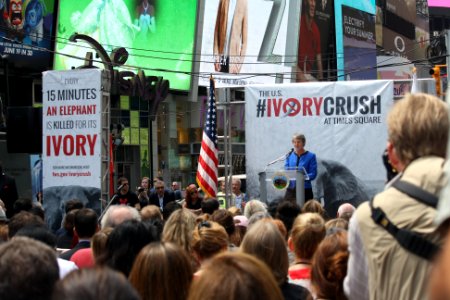 New York Ivory Crush 2015