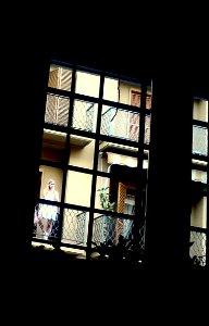 DSC00550