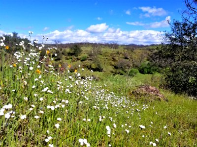 Paynes Creek