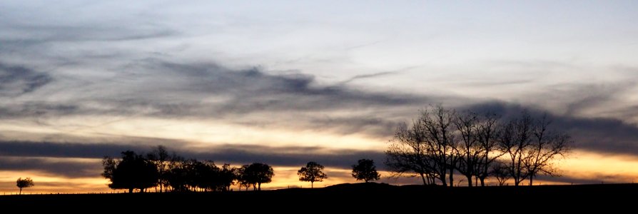 Siluetas de otoño 2