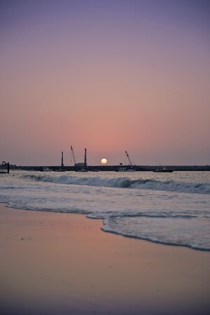 Cranes construction relax