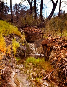 Knoxville Recreation Area - Creek