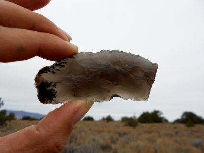BLM Applegate Field Office South Larkspur